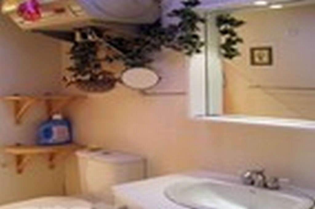 Bathroom-Master Bathroom
