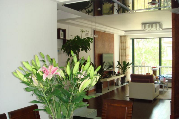 Dinning Room