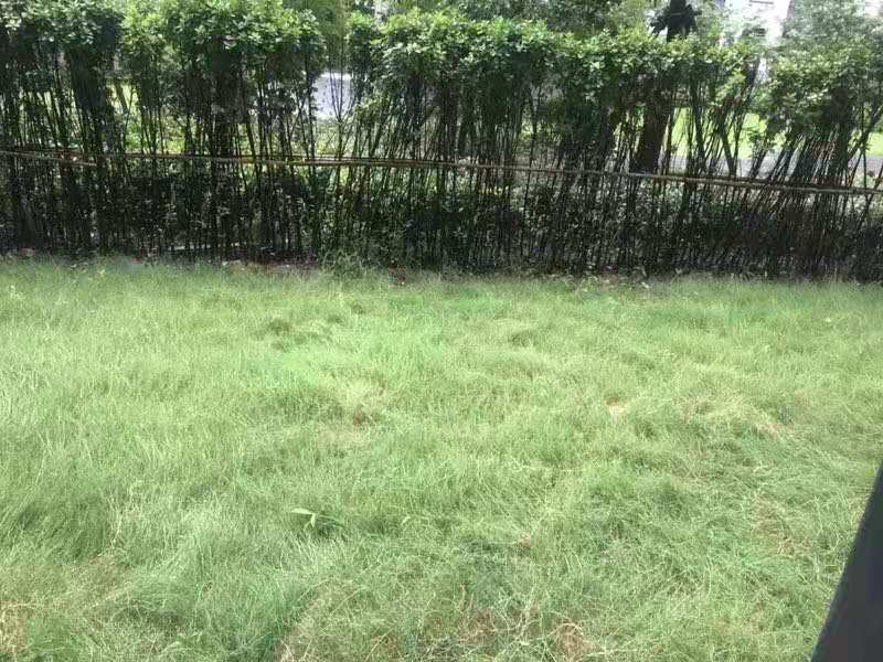 Private Garden